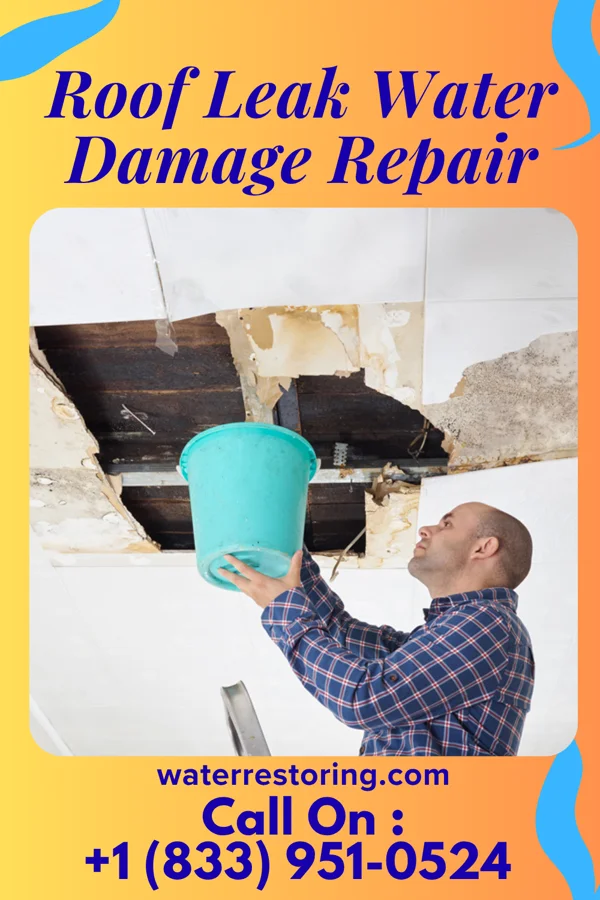 Roof Leak Water Damage Repair in Laguna Niguel, CA